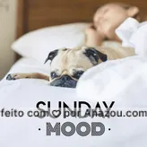 Domingou! Já saiu da cama hoje? ? #sundaymood #ahazoupet #domingo #pet #domingou 