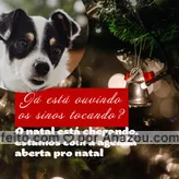  Nada melhor do que deixar tudo resolvido com antecedência não é mesmo? Seu pet merece, para maiores informações entre em contato! 
#AhazouPet  #ilovepets #petlovers #agendaabertanatal #natal