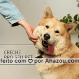 A nossa creche está aberta e pronta para receber o seu pet!
#PetSitter #AhazouPet #Creche