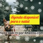 Bora garantir a agenda do seu pet nesse natal, entre em contato!
 #AhazouPet  #ilovepets #agendabertanatal #petlovers