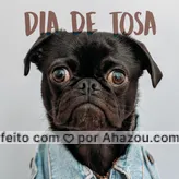 Hoje é dia de tosa! Venha tosar seu pet ?❤️️? #tosa #ahazou #petshop