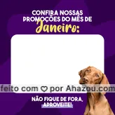 O ano começou cheio de promoções aqui na (nome do seu negócio)! Aproveite, a promoção é válida somente para esse mês de Janeiro. Você não vai querer ficar de fora! #AhazouPet #promocao #pets #desconto #janeiro
