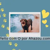 Seu pet merece esse mimo! Além de ficar com o pelo hidratado e macio, fica um perfume espetacular da hidratação! Aproveite!
#AhazouPet #editaveisahz  #instapet  #banhoetosa  #petshop  #tosahigiênica 
