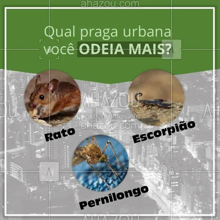posts, legendas e frases de dedetizador para whatsapp, instagram e facebook: Conta pra gente! Qual praga urbana você odeia mais? #dedetizador #dedetização #ahazou #controledepragas #pragasurbanas #mosquito #pernilongo #escorpião #rato