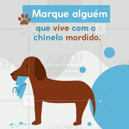 posts, legendas e frases de assuntos variados de Pets para whatsapp, instagram e facebook: Ração premium pra que, não é mesmo? 😂  #AhazouPet #ração #engraçado #cachorro #dog