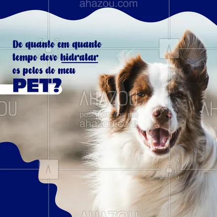posts, legendas e frases de petshop para whatsapp, instagram e facebook: Já sabe de quanto em quanto a hidratação dos pelos do seu pet deve ser feita? Vem com a gente que te explicamos. O banho, além de remover sujeiras, acaba eliminando a camada natural de gordura, que protege a pele, reduz casos de coceira, hidrata e dá brilho aos fios. Por isso, é recomendado realizar a hidratação sempre que possível, ou seja, após todos os banhos, para que os nutrientes e lipídeos perdidos sejam repostos, além disso, escolha produtos adequados para a pelagem do seu pet. #cuidados #dog #AhazouPet #animais #cuidado #pelo #hidratação