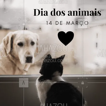 posts, legendas e frases de assuntos variados de Pets para whatsapp, instagram e facebook: 14 de março - Feliz dia nacional dos animais ❤️️ #diadosanimais #dianacionaldosanimais #animal #pet #ahazou #14demarço