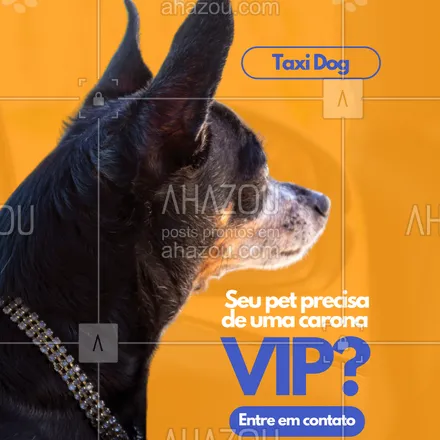 posts, legendas e frases de  para whatsapp, instagram e facebook: A gente sabe: pets são parte da família.
Por isso, no nosso táxi dog, cada viagem é feita com cuidado, carinho e toda a estrutura necessária pro bem-estar do seu pet.
🔒 Segurança
❤️ Afeto
🕒 Pontualidade
Quer conhecer nosso serviço? Manda um oi!
#taxidog #transporteanimal #petsfelizes #transportepetseguro #servicoparacachorro