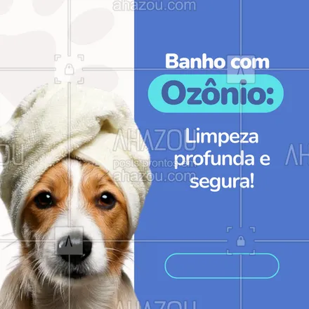 posts, legendas e frases de  para whatsapp, instagram e facebook: Sem químicos agressivos! O ozônio desinfeta naturalmente, deixando a pelagem do seu pet impecável e protegida.
✨ Promoção especial esta semana!
#BanhoNatural #OzônioPet #LimpezaProfunda #CuidadoAnimal