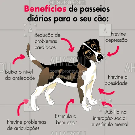 posts, legendas e frases de dog walker & petsitter para whatsapp, instagram e facebook: O ideal é que o seu dog saia no mínimo 30 minutos e duas vezes por dia! Mas entendemos a correria do dia-a-dia e que nem todos conseguem dar essa atenção para o peludo. Por isso, estou aqui para te ajudar! Entre em contato comigo e agende seus passeios. ? #dogwalker #passeio #ahazoupet #cachorro

