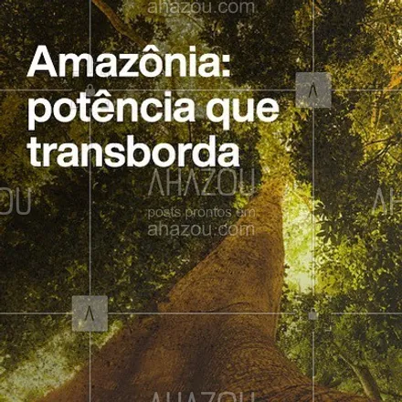 posts, legendas e frases de natura para whatsapp, instagram e facebook: Amazônia é cultura, inspiração e sabedoria ancestral que transformam. Há mais de 20 anos, a Natura tem um compromisso em manter a floresta em pé, com toda a vida que transborda dela. 🌳🧡 #TransbordeAmazônia

#ParaTodosVerem: imagem da floresta vista de baixo pra cima com destaque para grandes árvores. Sobre a foto, o texto “Amazônia: potência que transborda” #AhazouNatura #ahazourevenda