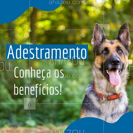 posts, legendas e frases de dog walker & petsitter para whatsapp, instagram e facebook: Os benefícios são: - Corrige comportamentos; - Torna seu cão mais sociável e tranquilo. #AhazouPet #adestramento #cachorro #racas #dogtraining