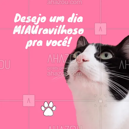 posts, legendas e frases de assuntos variados de Pets para whatsapp, instagram e facebook: Bom dia pra vocês ? #pet #ahazoupet #gato #bomdia