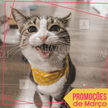 posts, legendas e frases de assuntos variados de Pets para whatsapp, instagram e facebook: Confere só os precinhos especiais desse mês! #ahazou #promoçao #promocional #promoçoesdomes