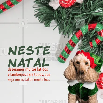 posts, legendas e frases de assuntos variados de Pets para whatsapp, instagram e facebook: Esses são os nossos desejos pro seu Natal, que seja muito especiAU ❤️
#AhazouPet #natal #pets #feliznatal
