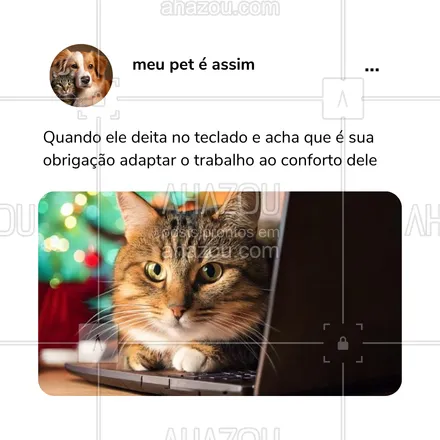 posts, legendas e frases de petshop para whatsapp, instagram e facebook: Porque tudo é dele e nós apenas existimos! 😂 Quem aí também tem um chefe peludo? #GatoNoControle #HomeOfficeComGato #GatoIndependente #MundoDosGatos #AhazouPet #meme #humor #comportamentodospets 