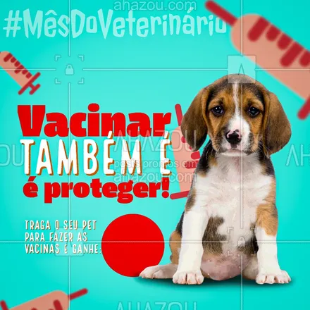 posts, legendas e frases de assuntos variados de Pets para whatsapp, instagram e facebook: Você sabia que vacinar o seu pet também é uma forma de proteger seu pet? A vacinação é importante e deve acontecer anualmente e não só a de raiva. Aqui, no mês do veterinário ao vacinar o seu pet você ganhar de brinde: (colocar aqui o brinde). #motivacional #mesdoveterinario #AhazouPet  #petlovers