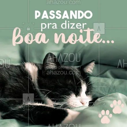 posts, legendas e frases de assuntos variados de Pets para whatsapp, instagram e facebook: Boa noite ?❤️? #pets #ahazoupet #boanoite