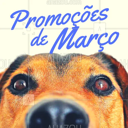 posts, legendas e frases de veterinário para whatsapp, instagram e facebook: Confere só os precinhos especiais desse mês! #ahazou #promoçao #promocional #promoçoesdomes