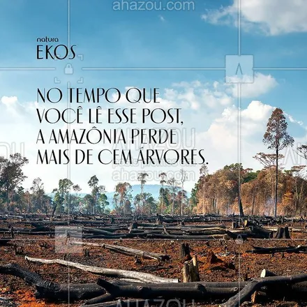 posts, legendas e frases de natura para whatsapp, instagram e facebook: A Amazônia perdeu cerca de 18 árvores por segundo em 2021.

Fonte: MapBiomas e PlenaMata

#ParaTodosVerem: na imagem temos uma paisagem com céu azul e árvores tombadas e queimadas. Acima o texto: No tempo que você lê esse post, a Amazônia perde mais de cem árvores. #AhazouNatura #ahazourevenda