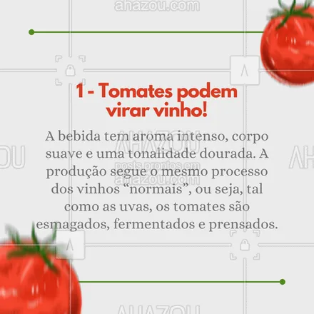 posts, legendas e frases de hortifruti para whatsapp, instagram e facebook: O tomate é super consumido nas casas brasileiras, por isso decidimos trazer algumas curiosidades diferentes sobre ele! 🍅 #ahazoutaste #tomate #curiosidades  #vidasaudavel  #mercearia  #hortifruti 