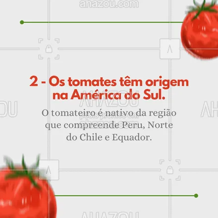 posts, legendas e frases de hortifruti para whatsapp, instagram e facebook: O tomate é super consumido nas casas brasileiras, por isso decidimos trazer algumas curiosidades diferentes sobre ele! 🍅 #ahazoutaste #tomate #curiosidades  #vidasaudavel  #mercearia  #hortifruti 