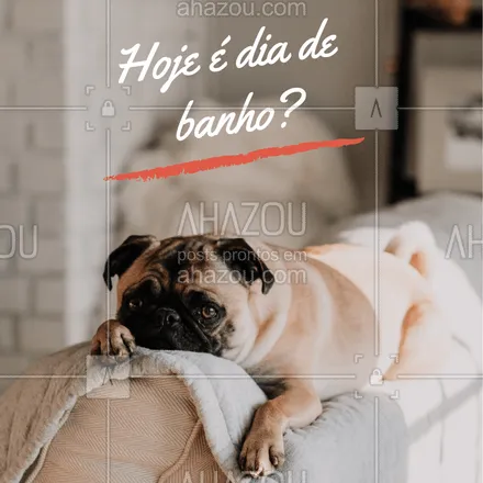 posts, legendas e frases de petshop para whatsapp, instagram e facebook: Hoje não é dia de banho não, né mãe? ? #banho #cachorro #ahazou #ahazoupet #pet #engraçado #petshop