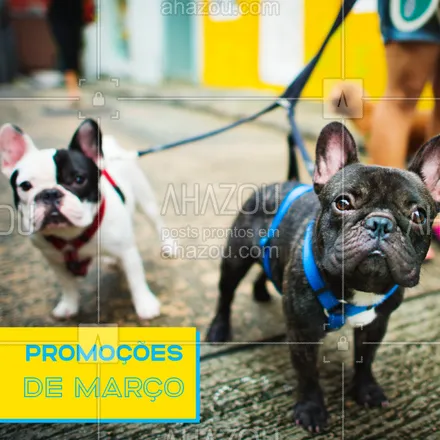 posts, legendas e frases de dog walker & petsitter para whatsapp, instagram e facebook: Confere só os precinhos especiais desse mês! #ahazou #promoçao #promocional #promoçoesdomes