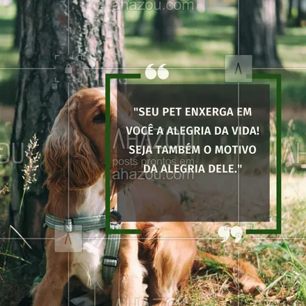 posts, legendas e frases de petshop para whatsapp, instagram e facebook: O amor mais puro é aquele que não precisa de palavras. 🐾💞 Vamos celebrar nossos amigos de quatro patas! #AmorDePet #CoraçãoAquece #MeuMelhorAmigo #CompanheiroParaSempre #PetLove #AhazouPet #petshop #frasesdepet #frasesfofas 