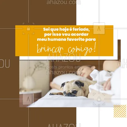 posts, legendas e frases de assuntos variados de Pets para whatsapp, instagram e facebook: Se seu pet é assim você nos entenderá! E lógico que nós amamos esses bichinhos, mesmo querendo nos acordar em um dia de feriado para poder brincar. ??❤️ #Feriado #Brincar #AhazouPet #Pet #AhazouPet