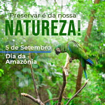 posts, legendas e frases de posts para todos para whatsapp, instagram e facebook: Preserve essa riqueza do nosso país. Preserve o seu futuro. Feliz Dia da Amazônia!💚 #diadaamazônia #amazônia #floresta #florestaamazônica #ahazou