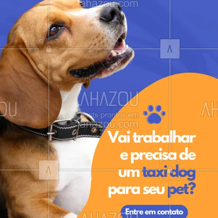 posts, legendas e frases de  para whatsapp, instagram e facebook: Deixa com a gente!
Nosso táxi dog leva e busca seu pet na creche, banho, consulta ou onde precisar — para você não se preocupar com nada na correria do dia a dia.
✨ Serviço seguro e carinhoso
✨ Atendimento sob agendamento
✨ Cobertura em diversas regiões
Seu pet merece esse cuidado.
Chama no direct e agende com a gente!
#taxidogbrasil #transportepet #vidadepetfeliz #cuidadocompet #petseguro