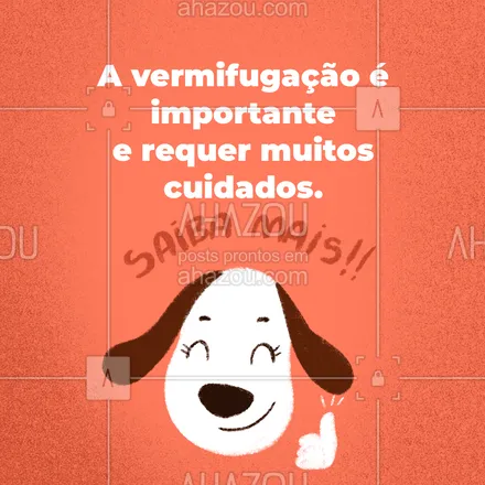 posts, legendas e frases de veterinário para whatsapp, instagram e facebook: A vermifugação é de suma importância para manter o seu pet saudável e longe dos parasitas. Entretanto, alguns cuidados precisam ser tomados e um deles é utilizar a medicação e a dosagem correta, visto que pode levar o seu pet a morte assim como a falta de vermifugação também. Desta forma, sempre siga as orientações do seu veterinário e mantenha a vermifugação do seu pet em dia. #vermifugação #pet #veterinario #AhazouPet #petsaudavel #dicas