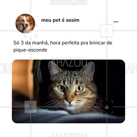 posts, legendas e frases de petshop para whatsapp, instagram e facebook: Aquela serenata noturna que só quem tem gato entende! Quem mais já teve o sono interrompido por um gato cheio de energia? 😂 #BoemiaFeline #MadrugadaAGato #GatoIndependente #MundoDosGatos #AhazouPet #meme #humor #comportamentodospets 