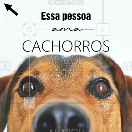 posts, legendas e frases de assuntos variados de Pets para whatsapp, instagram e facebook: Demonstre todo seu amor pelo seu cachorro! #cachorro #ahazou