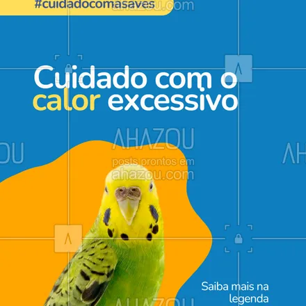 posts, legendas e frases de  para whatsapp, instagram e facebook: Aves sofrem com o calor — evite deixá-las expostas ao sol direto por muito tempo!
Ambientes frescos, bem ventilados e sombreados são ideais.
Dica extra: borrifadas leves de água ajudam nos dias quentes. 💦
#cuidadoscomaves #veraoeaves #avesdomesticas #passarinhocomamor #dicasdeave