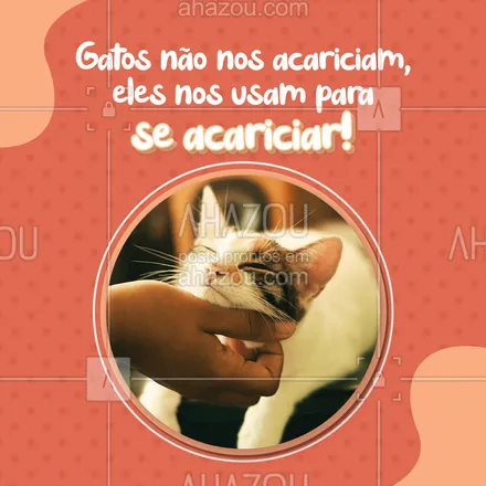 posts, legendas e frases de veterinário para whatsapp, instagram e facebook:  Quem tem um desses em casa?#AhazouPet #catlovers #petlovers