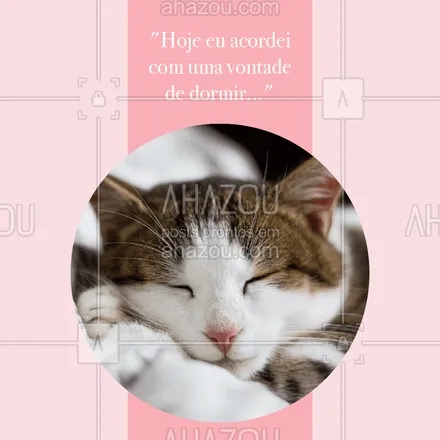 posts, legendas e frases de assuntos variados de Pets para whatsapp, instagram e facebook: Hahah quem nunca? #gato #ahazou #engraçado #bomdia #pet #ahazoupet