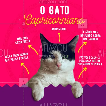 posts, legendas e frases de assuntos variados de Pets para whatsapp, instagram e facebook: Apesar da personalidade única, amamos nossos gatinhos capricornianos! ❤️ 
Comenta aí se você também tem um que é exatamente assim ?.

#AhazouPet #gato #felino #catlover #signo #capricornio #capricorniano #zodiaco #mapaastral
#pet #astrologia