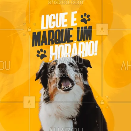 posts, legendas e frases de petshop para whatsapp, instagram e facebook: Marque um horário para o seu pet! Seu bichinho merece todos os cuidados! ? 
#AhazouPet  #petshop #banhoetosa #tosahigiênica