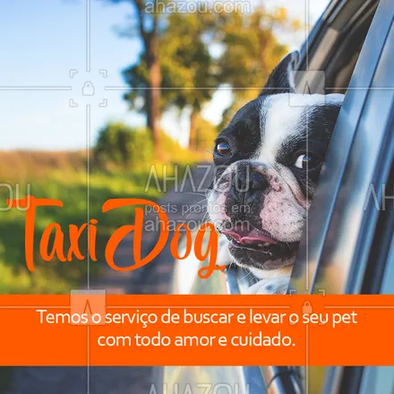 posts, legendas e frases de petshop, assuntos variados de Pets para whatsapp, instagram e facebook: Sem tempo para trazer o seu pet para o petshop? Seus problemas acabaram! Agende um horário que iremos até você! #taxidog #petshop #ahazouapp #ahazoupet #pets