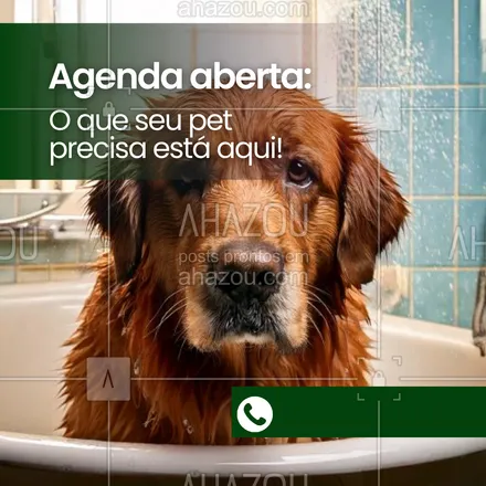 posts, legendas e frases de petshop para whatsapp, instagram e facebook: Agenda aberta para dar aquele cuidado especial que o seu pet merece! 🌟 Vem garantir o melhor atendimento para o seu amigo de quatro patas. 💕 #AgendaPetshop #CuidadoAnimal #PetShop #AhazouPet #petshop #agenda #agendaaberta #serviços 