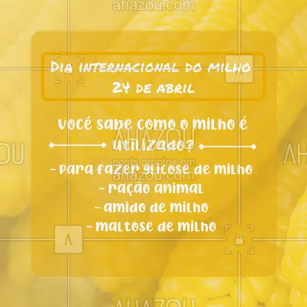 posts, legendas e frases de nutrição para whatsapp, instagram e facebook: Mas milho é tão bom que até em natura a gente ama! ??#AhazouSaude #diadomilho #milho #24demaio #beneficios #comemorativo