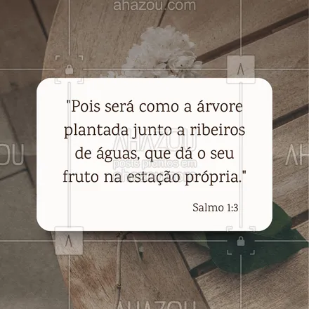 posts, legendas e frases de igrejas & espiritualidade cristã para whatsapp, instagram e facebook: Quem confia em Deus tem raízes profundas e dá frutos no tempo certo. 🌳 #Salmo1#AhazouFé #biblia #Deus #fé #salmos #palavradeDeus #féemDeus