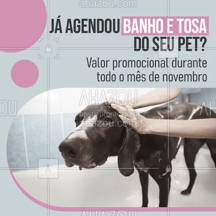 posts, legendas e frases de petshop para whatsapp, instagram e facebook: ??? Agende o banho do seu pet durante as comemorações do black november e pague valor promocional. ? Entre em contato para saber mais. #petshop #pet #pets #AhazouPet #instapet