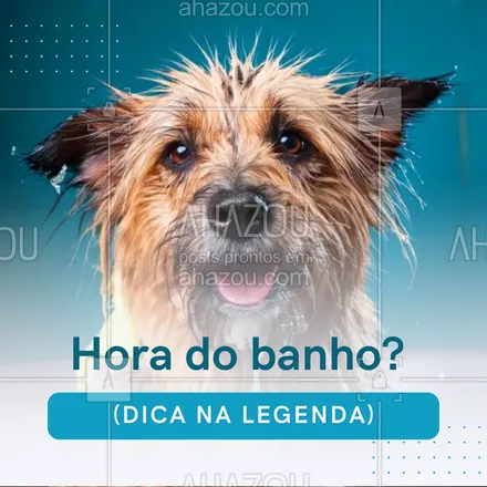 posts, legendas e frases de petshop para whatsapp, instagram e facebook: Manter uma rotina de banho é essencial, mas sem exagero! Banhos a cada 15 dias (ou conforme orientação do veterinário) evitam o ressecamento da pele e mantêm os peludos cheirosos e limpos. 💧🐕 #CuidadoComOsPets #CuidadosComOsPelos #AhazouPet #dicas #cuidadoscomapele #cuidadoscomospets #petshop 