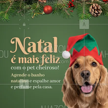 posts, legendas e frases de  para whatsapp, instagram e facebook: Nada melhor do que celebrar o Natal com o pet limpo, cheiroso e cheio de amor! 💖🐕
Garanta o banho especial de Natal e feche o ano com alegria e muitos lambeijos!
🎄 Atendimento com carinho
🎁 Vagas limitadas
💬 Chame no direct e agende o horário do seu melhor amigo!

#NatalPet #BanhoETosa #PetShop #PetsFelizes #AmorPet #Natal #BelezaPet #CuidadosComOPet #CachorroFeliz #GatoLindo #BanhoCheiroso