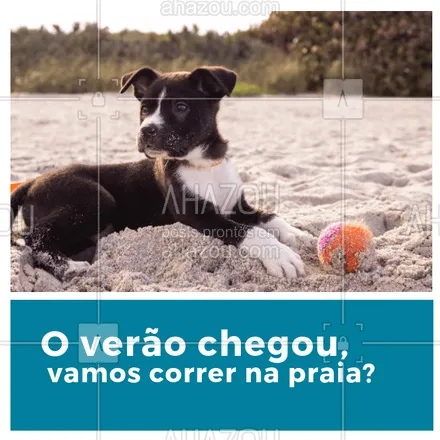posts, legendas e frases de veterinário, petshop para whatsapp, instagram e facebook: Seu peludo também ama correr na praia com você? #pet #dog #ahazoupet #praia #verao
