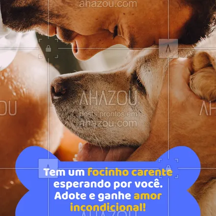 posts, legendas e frases de pets para whatsapp, instagram e facebook: É carinho, companhia, lambidas e lealdade. 💛
A única coisa que falta pro nosso doguinho ser feliz é você! Vamos mudar isso? #caosemfamília #adoteporamor #adotecachorro #adoçãoresponsavel #focinhocarente