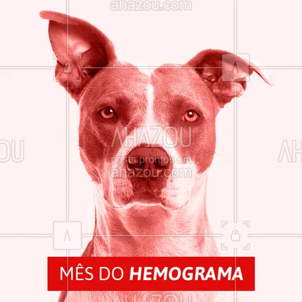 posts, legendas e frases de veterinário para whatsapp, instagram e facebook: Aproveite os benefícios da clínica nesse mês. Traga o seu pet! #pet #veterinario #clinica #ahazoupet #promocao #prevencao